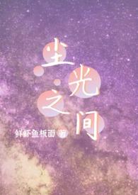 尘光之间免费阅读