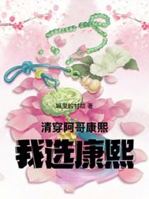 穿越清朝康熙和阿哥抢女主