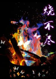烧不尽回南雀讲的什么