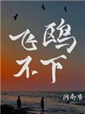 飞鸥不下结局是什么