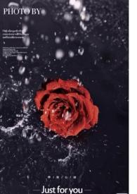 玫瑰花保养手册(恋与深空 祁煜同人)