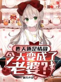今天变成了老婆?机巧少女