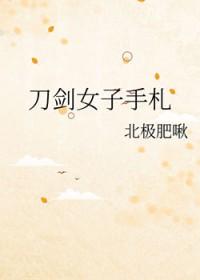 刀剑女子手札txt