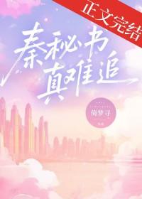 秦秘书真难追倚梦寻