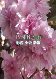 调教小喷泉百合