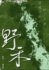 伪兄妹长篇