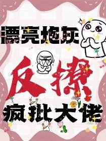 漂亮炮灰是什么意思