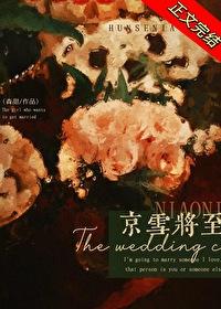 京雪将至大结局