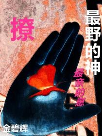 他是神明也是劫什么意思