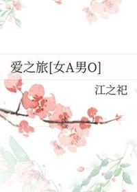 爱之旅电影