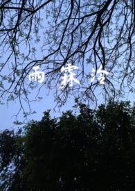 雨霖婞的cp