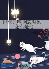排球少年cp连线图