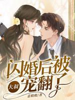 闪婚大叔好凶猛