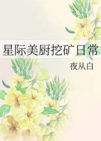 星际美食直播日常免费阅读目录