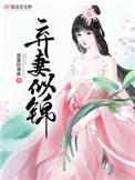 弃妻似锦讲的什么