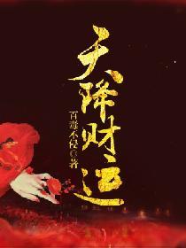 天降财运笔趣阁无弹窗