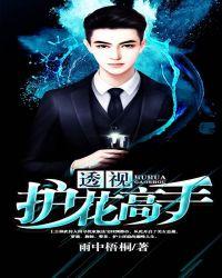 透视高手免费阅读