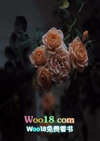 壁垒是什么意思网络语言