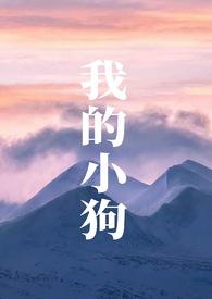 我的小狗作文300字作文