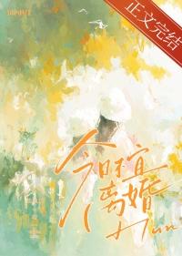 今日不宜离婚短剧免费观看