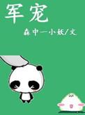 军婚高干