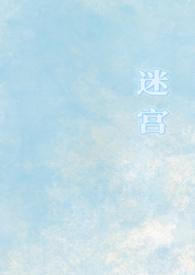 迷宫类型