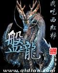 盘龙药业股票期权激励计划