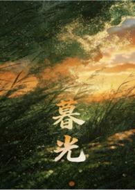 暮光姐妹设定图