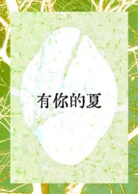 有你的夏天歌词