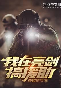 我在亮剑搞援助免费阅读