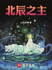 北辰之主无防盗笔趣阁免费阅读