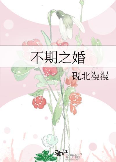 不期之婚砚北漫漫全本