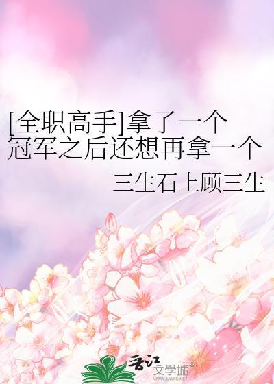 全职高手冠军