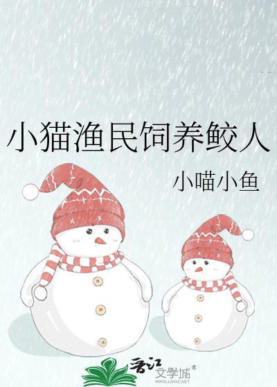 小毛圈是什么材质