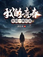 好似一摊烂泥诗酒寒