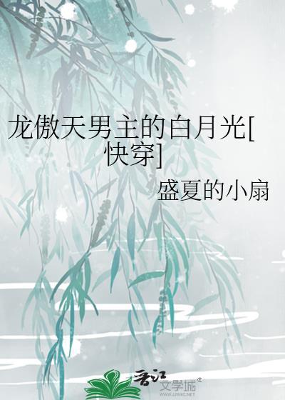 龙傲天男主是omage