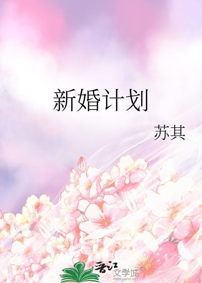 新婚计划苏其免费阅读