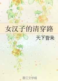 女汉子的清穿路剧情