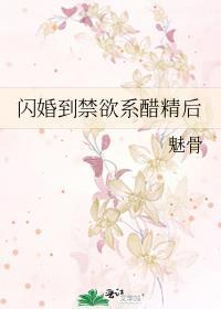 闪婚惊爱免费阅读全文