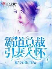 霸道总裁引入怀季离txt