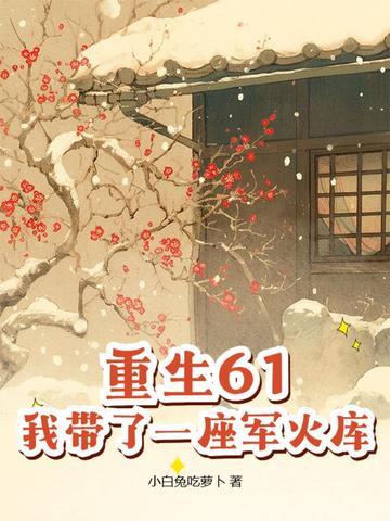 重生61,我带了一座军火库